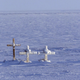 A cemetery at the village of Kaktovik, Alaska, located just north of the Arctic National Wildlife Refuge coastal plain. Photo: AP
